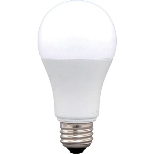 IRIS 106663 LED電球 E26 全方向