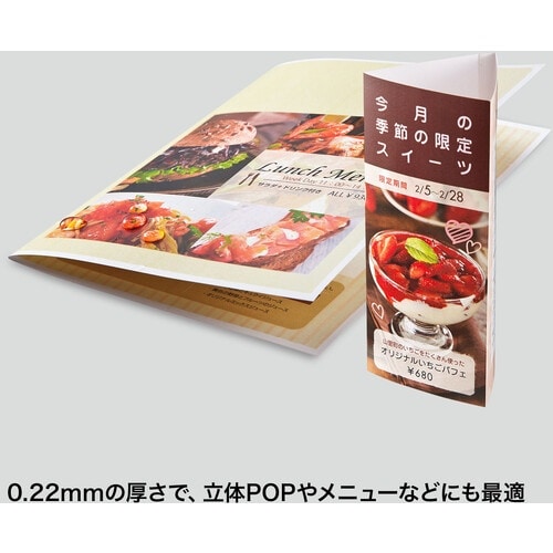 SANWA カラーレーザー用 耐水紙・特厚