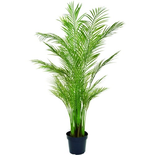 グローベン 人工樹木 リフェイクグリーン アレカヤ