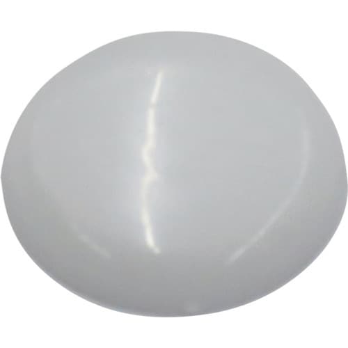 DAIDOHANT ビスキャップ 白 (直径13m