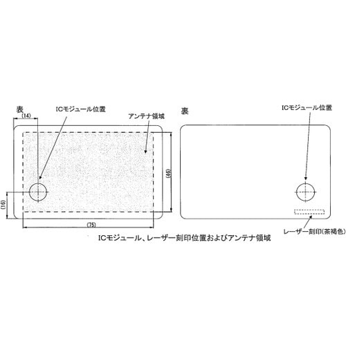 ジーエル フェリカカード 白無地 100枚セット