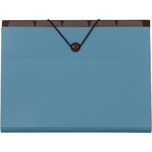 ナカバヤシ バッグインファイルA46ポケットブルー