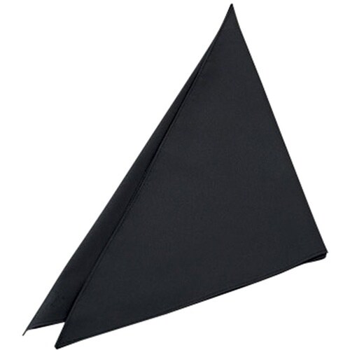 サンペックス 三角巾 ブラック F