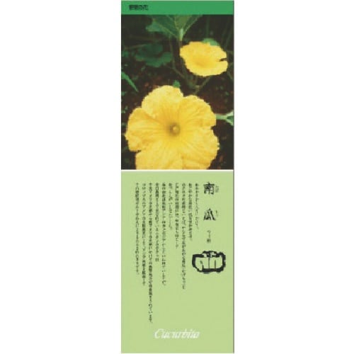 ユニット シールギャラリー かぼちゃ PVCステッ