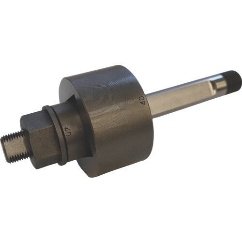 エビ パンチダイス(カク) 40X40