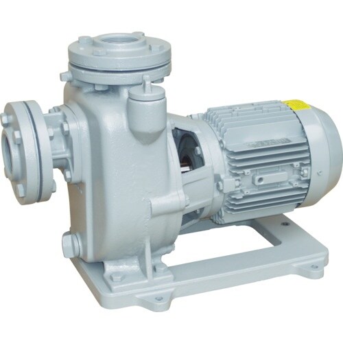 TERADA 陸上ポンプ セルプラポンプ 全閉外扇