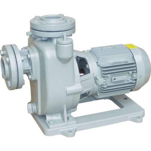 TERADA 陸上ポンプ セルプラポンプ 全閉外扇