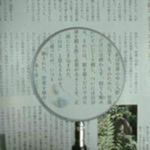 池田レンズ 金枠製手持ちルーペ 倍率2倍(小レンズ