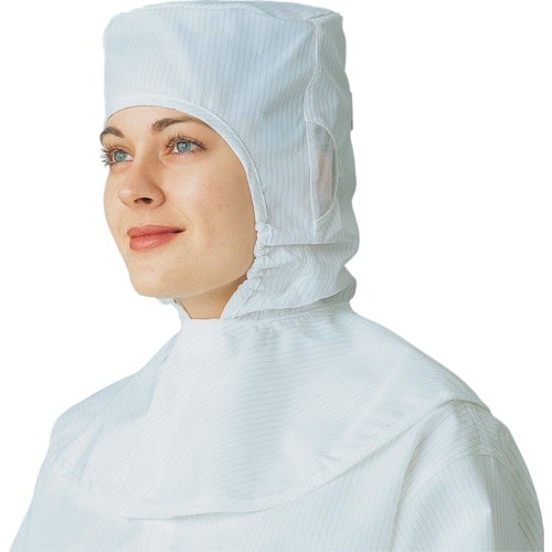 GOLDWIN プリ−タ3「クリ−ンフ− L