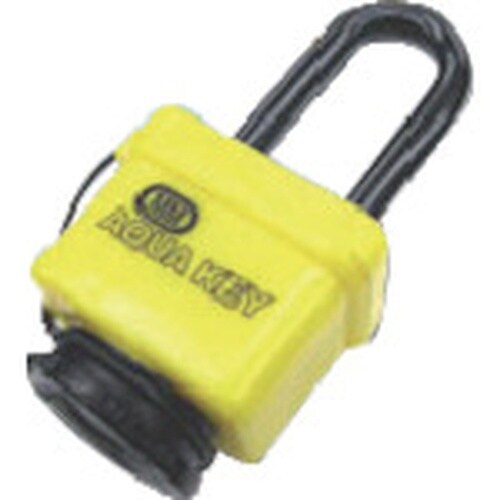 水本 アクアキー 錠タイプ