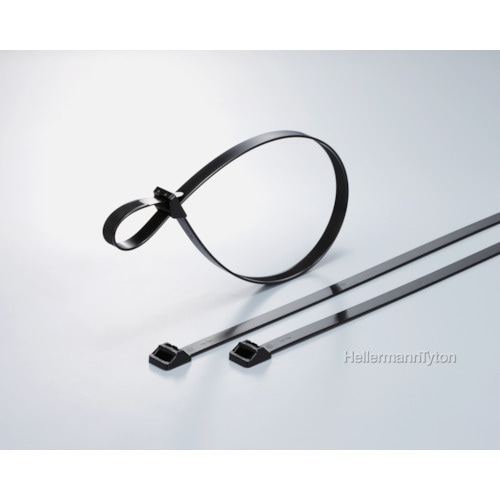 TYTON ラッシングタイ RT250タイプ 幅1