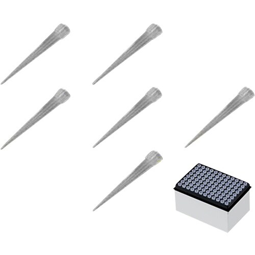 AS アイビススペアボックスIN122801C