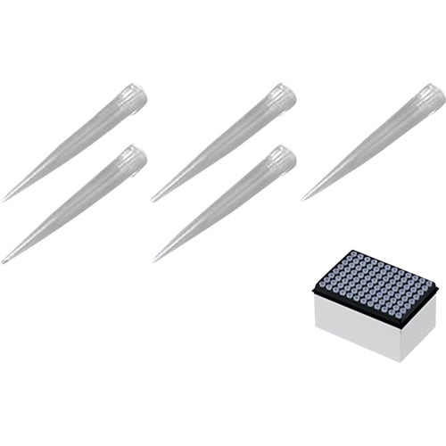 AS アイビススペアボックスIN122804C