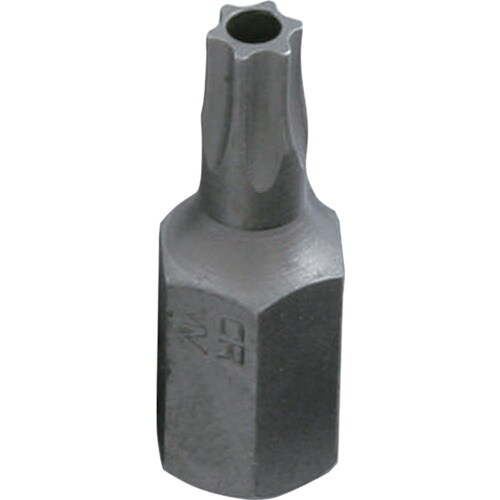 スエカゲ ドライバビットスペシャルT30穴付き