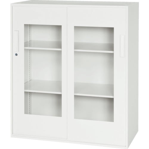 DAISHIN 壁面収納庫 窓付き引戸型 下置き専