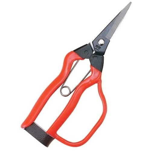 青果鋏ガード付 185mm