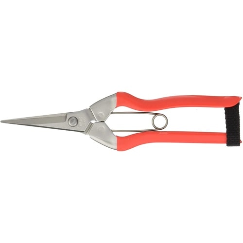 ステンレス摘果鋏 ステンバネ