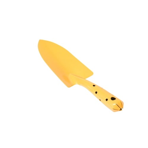 カラー共柄移植古手