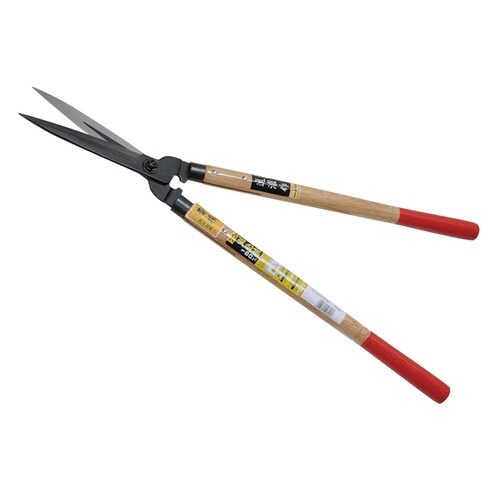 ドウカン 0113 ツゲ(黄楊)