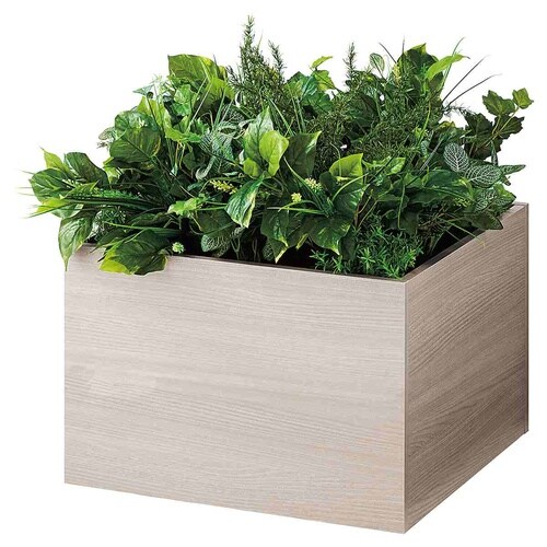 プラントボックス