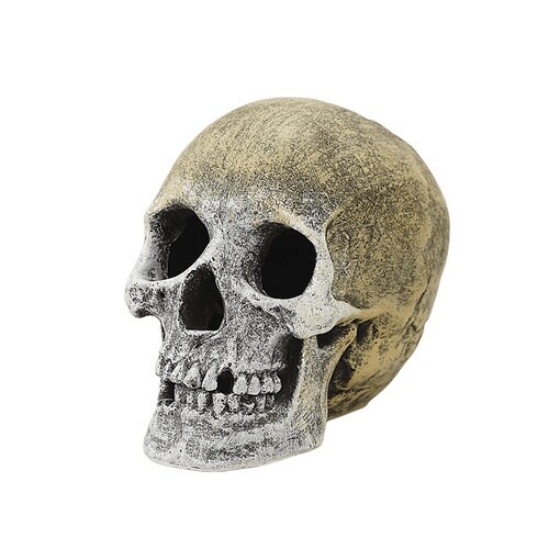 aquaneru アクアリウムオーナメン