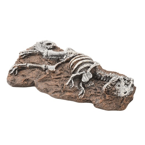 aquaneru アクアリウムオーナメン