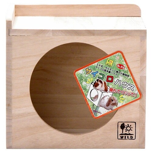 H18 サイコロハウス