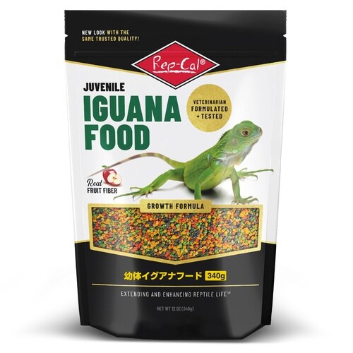 幼体イグアナフード