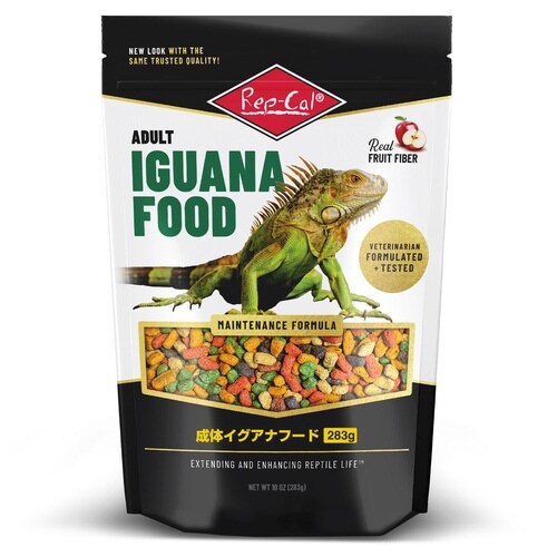 成体イグアナフード