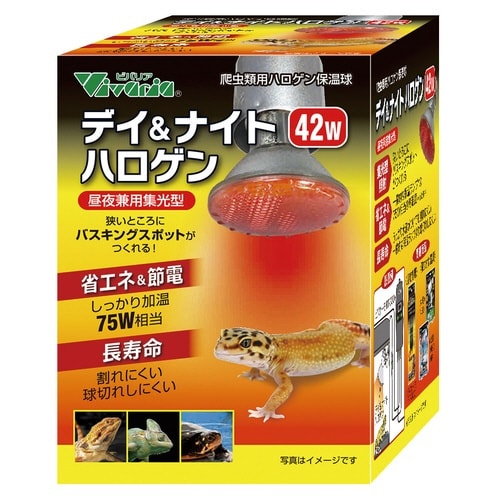 デイ&ナイトハロゲン 42W