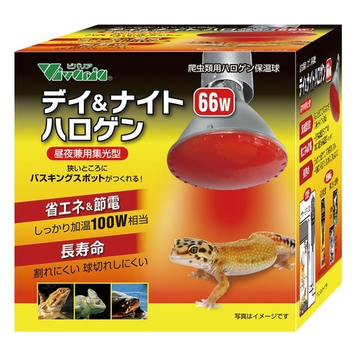 デイ&ナイトハロゲン 66W