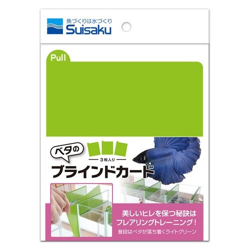 ベタのブラインドカード×2