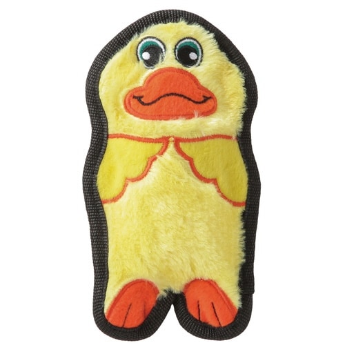 PTOW32011インビンシブルズ