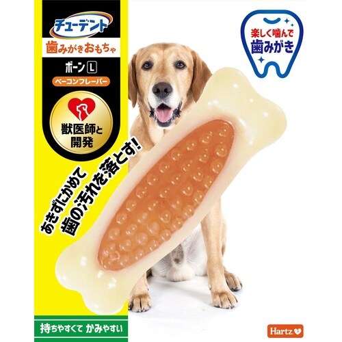 ハーツ デンタル ボーン