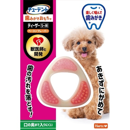 ハーツ デンタル ティーザー