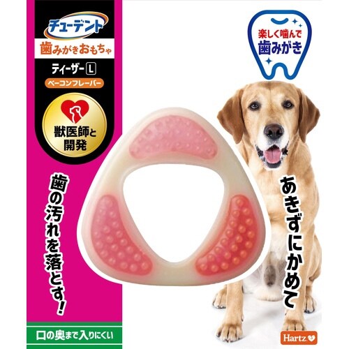 ハーツ デンタル ティーザー
