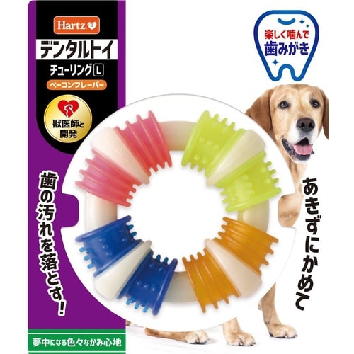 ハーツ デンタル チューリング