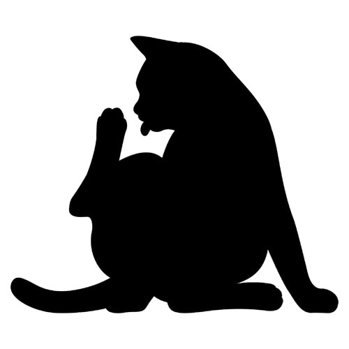 LEDライト Thats Light! CAT