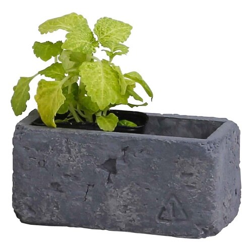 プランター ブリック レクトポット L グレー