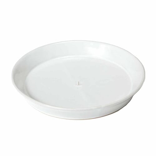 プレート 24.5cm L アンカー 陶器