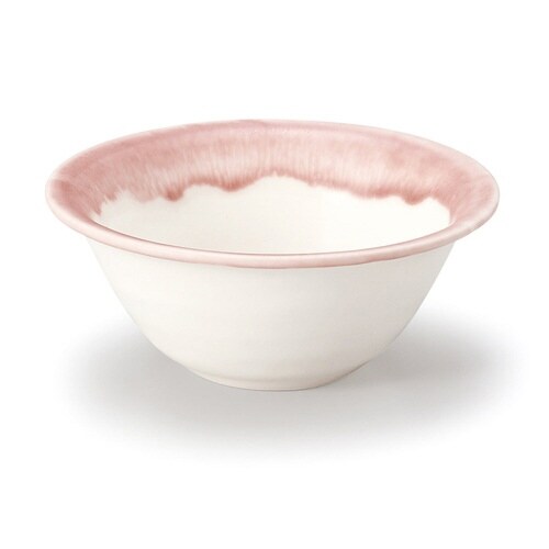 ボウル 11cm トキメキ色 陶器 美濃焼 プラム