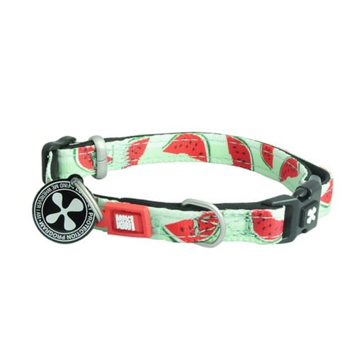 首輪 小型犬 XS マックス&モーリー スイカ