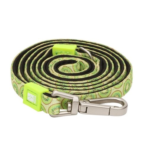 リード 小型犬 XS マックス&モーリー キウイ