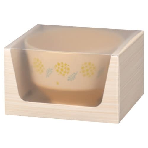 汁椀 日々色 抗菌 GiftBox 凛