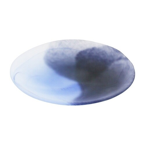 皿 空のいろどりミスト 取皿 紺碧