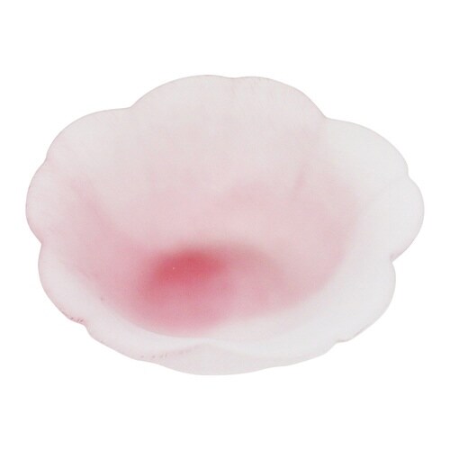 小鉢 桜のいろどりほのか 白桜