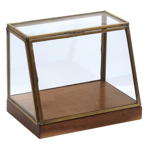 ショーケース アルテン ブラスショーケース S