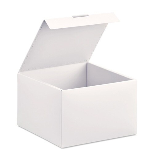 イトオシ 組立式PPBOX 新書 OW