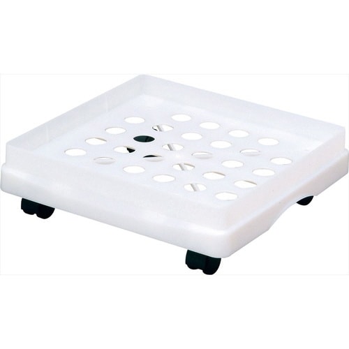 キヤパテイEW4/EW5ヨウベ−ス/ホワイト×10