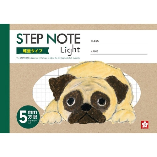 学習帳 軽量方眼罫5ミリB6 グリーン×20